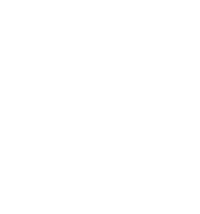 ne.png
